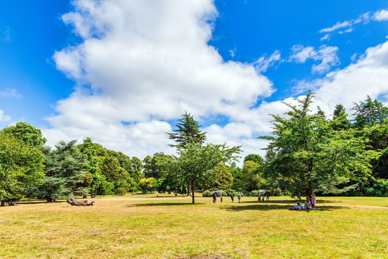 Bute park and Taff river, Cardiff, Wales, UK