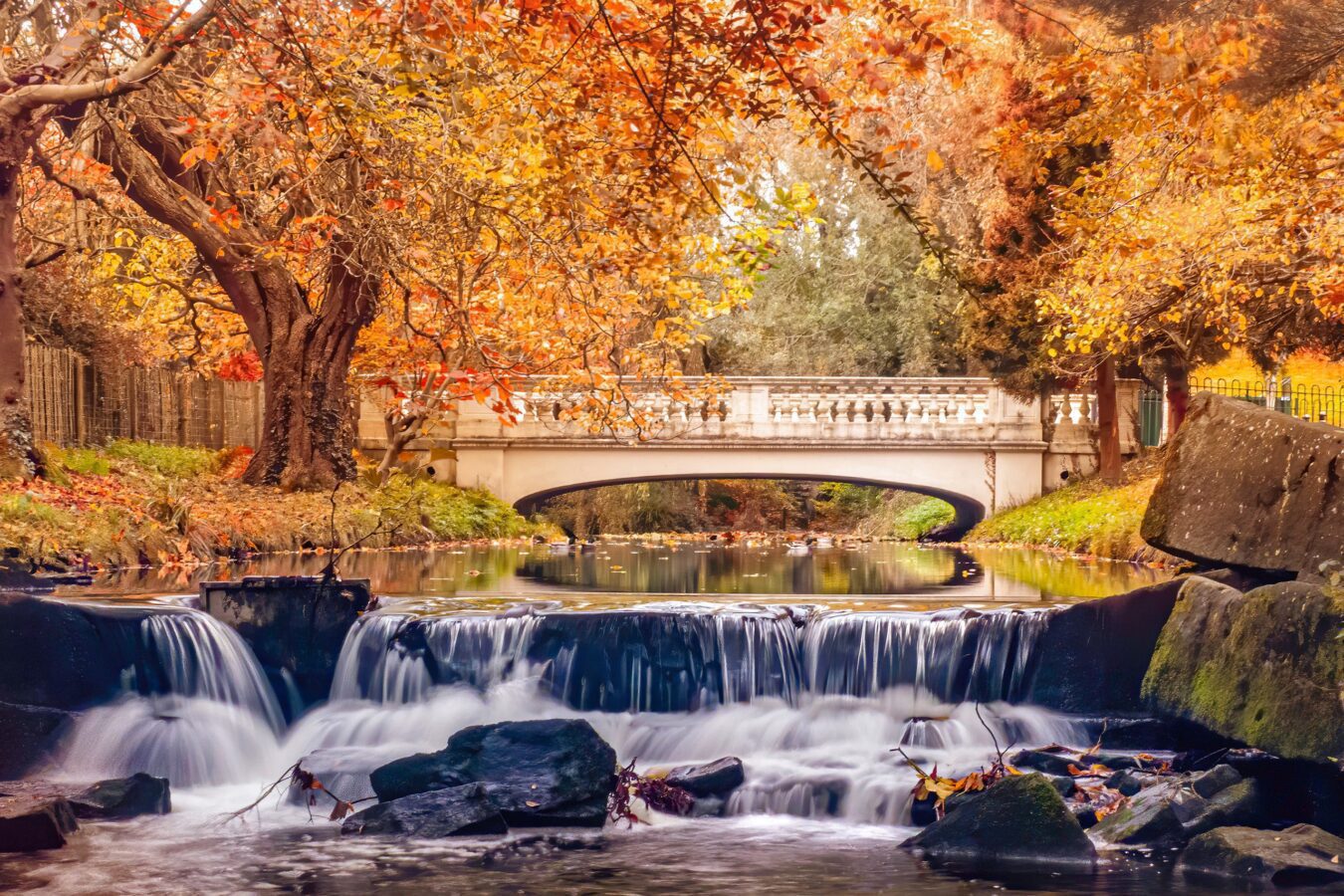 Stream,And,Waterfall,At,Roath,Park
