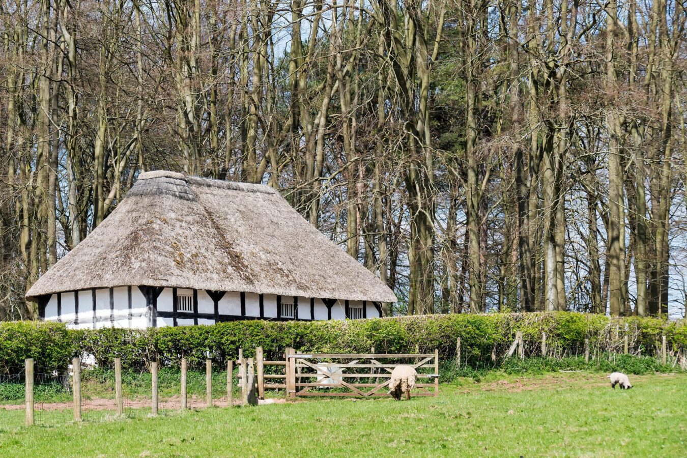 Exterior view of St. Fagans National Museum of History, a renowned open-air museum in Wales, surrounded by lush greenery and historic buildings.