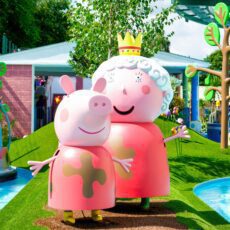 Amusement and Theme Parks