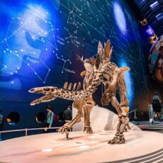 Science and Education