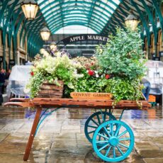 Town and Urban Attractions